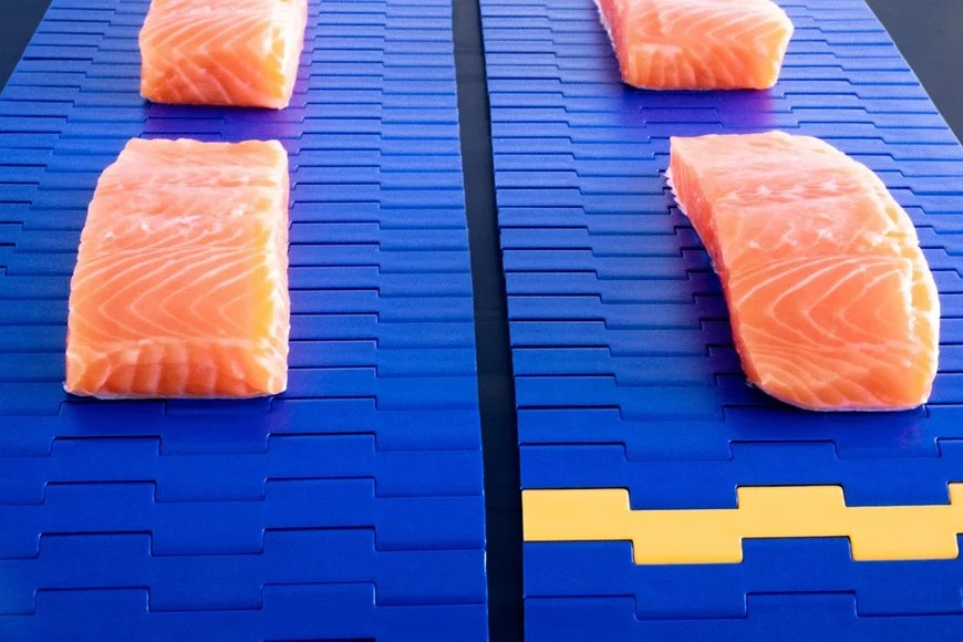 مقایسه تسمه‌های PVC و PU در صنایع غذایی از منظر ایمنی میکروبی و بهداشت